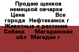 Продаю щенков немецкой овчарки › Цена ­ 5000-6000 - Все города, Нефтекамск г. Животные и растения » Собаки   . Магаданская обл.,Магадан г.